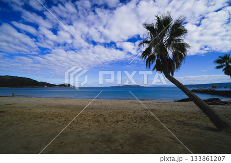 海辺のブランコを満喫する 133861207