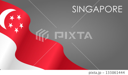 Singaporean flag waving on gray background. Vector illustration. Singaporean flag waving on gray background. Vector illustration. 133861444
