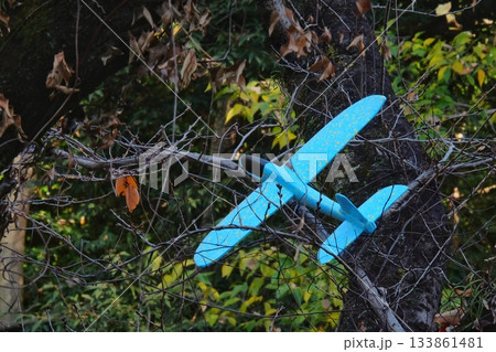 夢の喪失:木に絡まった青いおもちゃの飛行機 夢の喪失:木に絡まった青いおもちゃの飛行機 133861481