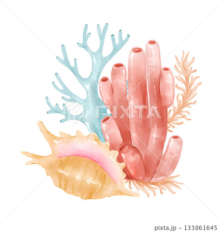 Underwater sea corals and seashells. Watercolor coastal clipart, hand drawn and isolated. Great for kids prints, fabric design, nursery decor, invitations, branding, packaging, and summer stationery. 133861645