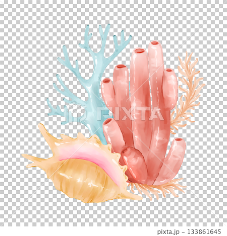 Underwater sea corals and seashells. Watercolor coastal clipart, hand drawn and isolated. Great for kids prints, fabric design, nursery decor, invitations, branding, packaging, and summer stationery. 133861645