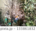 ホワイトクリスマス 133861832