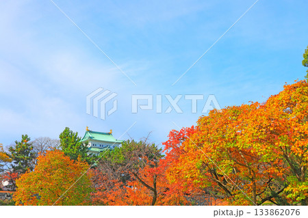 愛知県名古屋市、秋の名古屋城の風景 133862076
