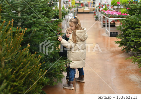 Children buy a Christmas tree in the market. 133862213