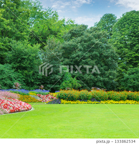 Lush Green Lawn and Vibrant Flower Beds in a Public Park Lush Green Lawn and Vibrant Flower Beds in a Public Park 133862534
