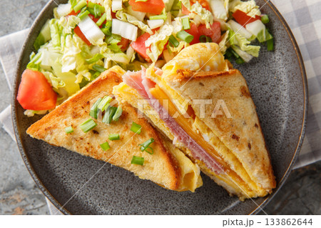 Hot sandwich with egg omelet, cheese and ham close-up in a plate. Horizontal top view 133862644