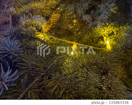 Cozy Winter Branches Adorned With Glowing Lights And Shimmering Effects Cozy Winter Branches Adorned With Glowing Lights And Shimmering Effects 133863336