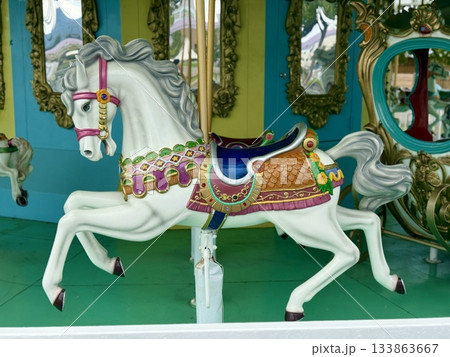 武生中央公園　メリーゴーランド 133863667