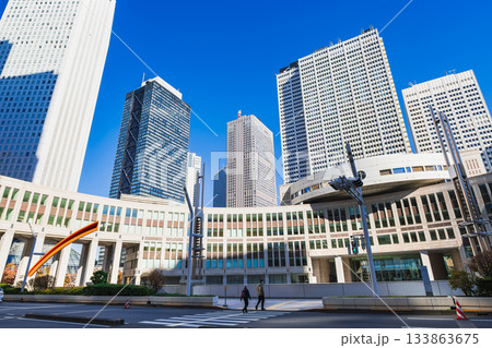 東京都議会議事堂 新宿 東京都議会議事堂 新宿 133863675