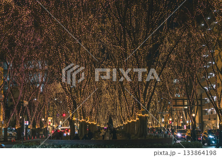 仙台　光のページェントの夜景　イルミネーション 133864198