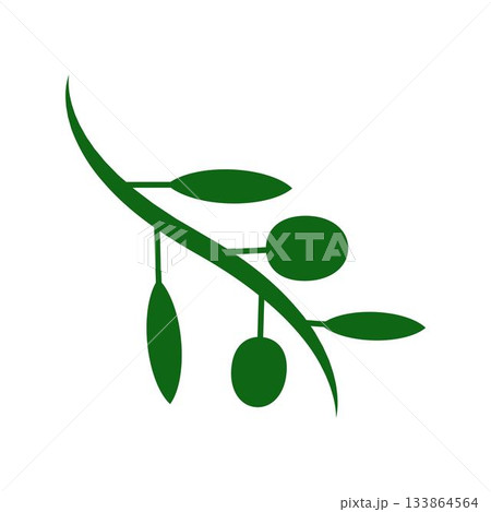 Branch logo icon design 133864564