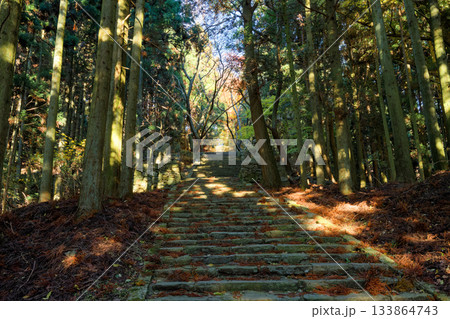 播州清水寺の参道 133864743
