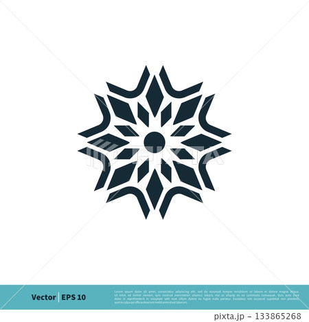 Abstract Star Ornamental Icon Vector Logo Template Illustration Design. Vector EPS 10. 133865268