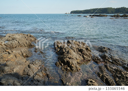 岩のある海岸 岩のある海岸 133865546