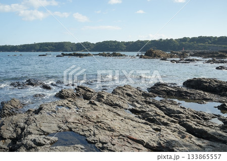 岩のある海岸 133865557