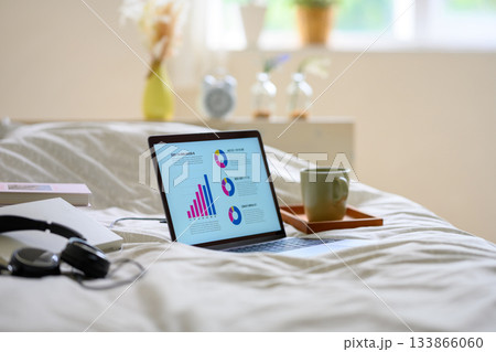 ベッドの上でデータ分析をするノートパソコンとリラックスアイテム 133866060