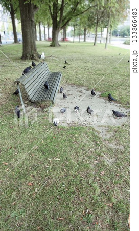 Hamburg, Germany - July 17 2023: Garden with Birds 133866483