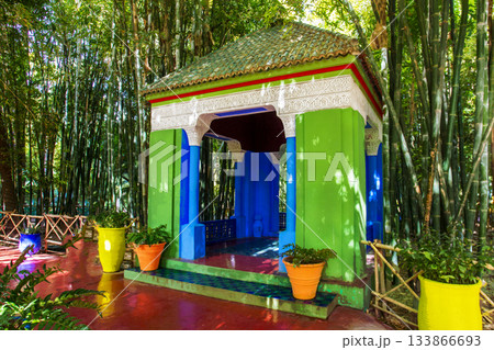 Green alcove among Bamboo forest in Majorelle garden 133866693