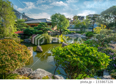 Pond in Japanese garden , in monaco (Monte Carlo) at summer Pond in Japanese garden , in monaco (Monte Carlo) at summer 133867126