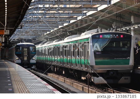 赤羽駅に停車中の埼京線と特急湘南号の回送列車 赤羽駅に停車中の埼京線と特急湘南号の回送列車 133867185