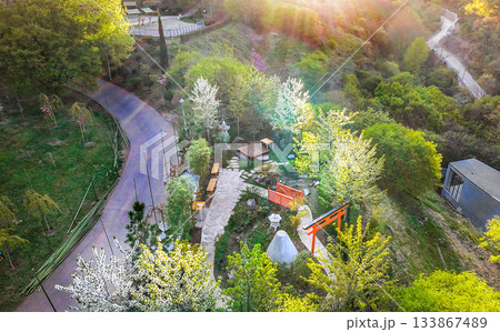 Botanical garden in bloom time in Tbilisi April 133867489