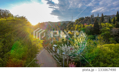 Botanical garden in bloom time in Tbilisi April 133867490