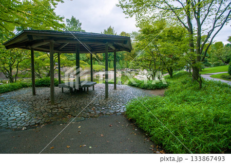 Gazebo in Japanese garden in Bonn .in autumn. As grass - pleioblastus - variety of bamboo tree. Gazebo in Japanese garden in Bonn .in autumn. As grass - pleioblastus - variety of bamboo tree. 133867493