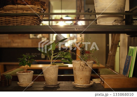アンティーク風の棚に並ぶ鉢植えと温かいカフェのインテリア 133868010