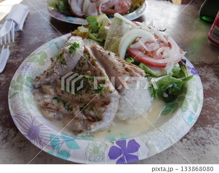 グレイビーソースがかかったチキンとサラダのハワイアンプレート 133868080