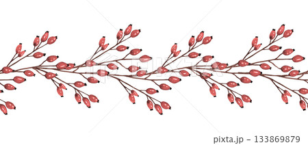 Seamless garland with red berries. Watercolor illustration of Seamless Border with red berry branch. Cranberry, cowberry, rose hip. Autumn rose hip for patterns, prints and greeting cards 133869879