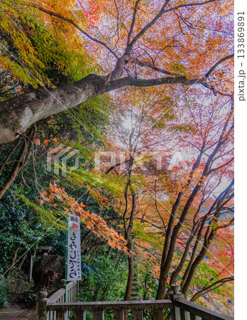 秋の寂光院境内の景色 133869891
