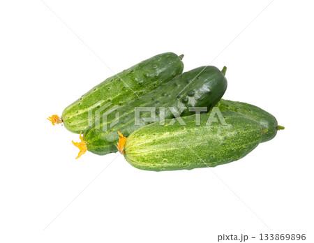 Cucumbers isolated. Fresh organic cucumber on white background. 133869896