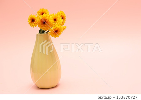ピンク背景の花瓶に活けた菊 133870727