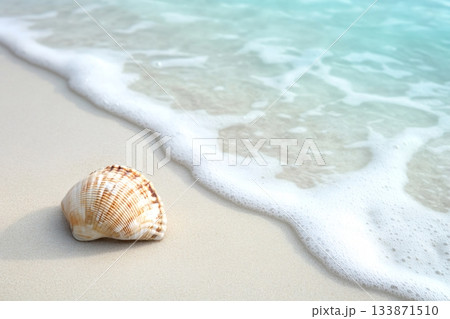 Seashell resting on light sand beach as gentle ocean wave approaches, creating white foam along the shoreline 133871510