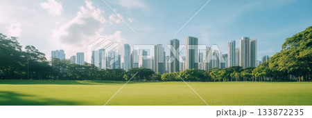 Lush green meadow stretches towards a modern city skyline under a bright sunny sky, creating a harmonious blend of nature and urban development 133872235