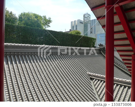 歌舞伎座の五右衛門階段と大屋根 133873006