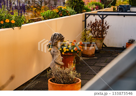 Terrace Garden With Flower Pots And Stone Statue: Sunlit Outdoor Arrangement Of Colorful Blossoms And Decorative Sculpture In Warm Autumn Atmosphere Terrace Garden With Flower Pots And Stone Statue: Sunlit Outdoor Arrangement Of Colorful Blossoms And Decorative Sculpture In Warm Autumn Atmosphere 133873546