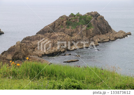 山野草に彩られる夏の種差海岸中須賀 133873612