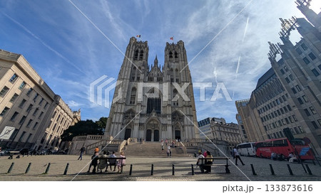 Cathedral of St. Michael and St. Gudula  133873616