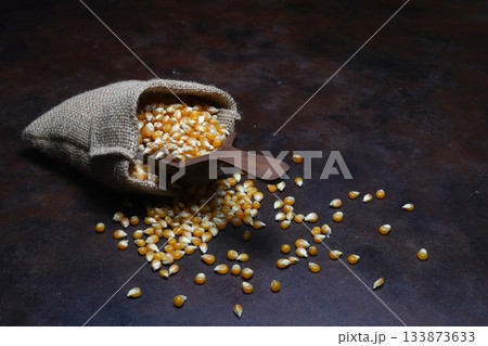 Corn with wooden scoop in burlap bag isolated on dark rustic background. Corn seeds in sack. Dry uncooked corn grains 133873633