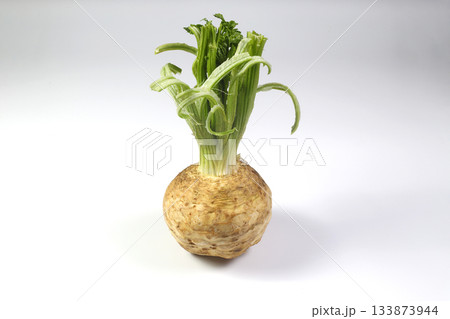fresh organic celeriac celery root isolated on white background fresh organic celeriac celery root isolated on white background 133873944
