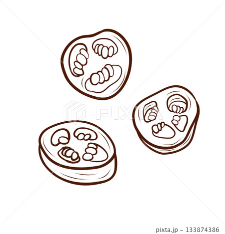 Sliced jalapeño peppers. Vector illustration drawn in a minimalist outline style. This spicy vegetable ingredient with seeds is isolated on a white background. Suitable for menus, recipes, packaging 133874386