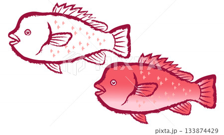 コブダイ コブダイ 133874429