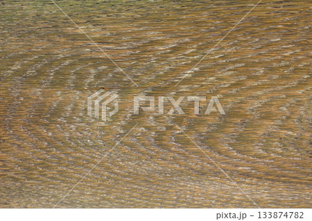 wood texture. Abstract background, empty template. Cropped Shot Of A Textured Background. 133874782