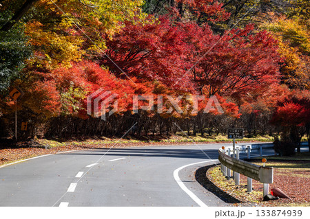 寸又峡へ続く紅葉の道 133874939