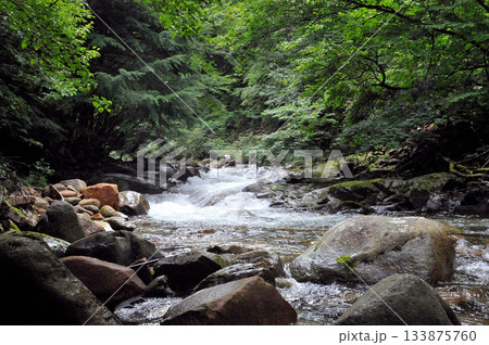 乙女鉱山の脇を流れる荒川の風景 乙女鉱山の脇を流れる荒川の風景 133875760