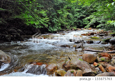 乙女鉱山の脇を流れる荒川の風景 133875763