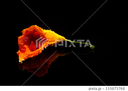 Momordica charantia isolated on a black background. Ripe whole fruits of Momordica charantia. Melon or bitter squash 133875768