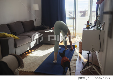 Relaxed woman practicing gentle mobility with her dog at home Relaxed woman practicing gentle mobility with her dog at home 133875795