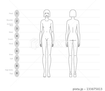 Vector illustration of a 9 head woman, displaying multiple angles including front, and back. Perfect for fashion sketch Vector illustration of a 9 head woman, displaying multiple angles including front, and back. Perfect for fashion sketch 133875813